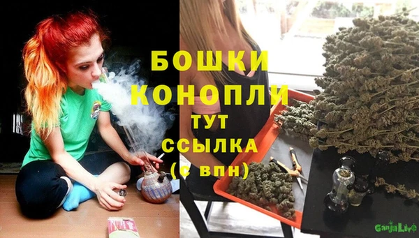 spice Гатчина